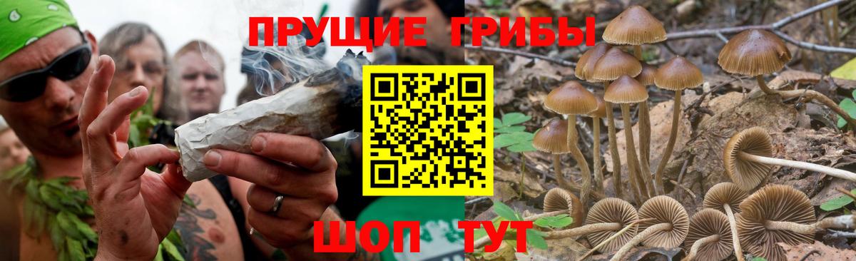Псилоцибиновые грибы MAGIC MUSHROOMS Знаменск